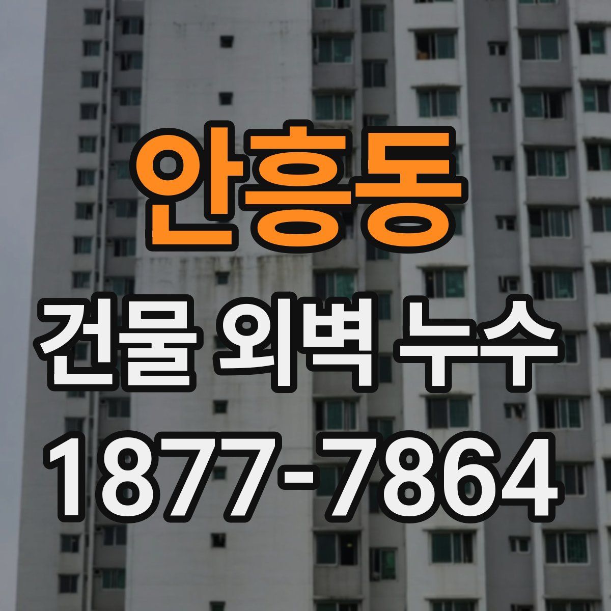 안흥동 건물 외벽 누수