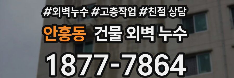 안흥동 건물 외벽 누수
