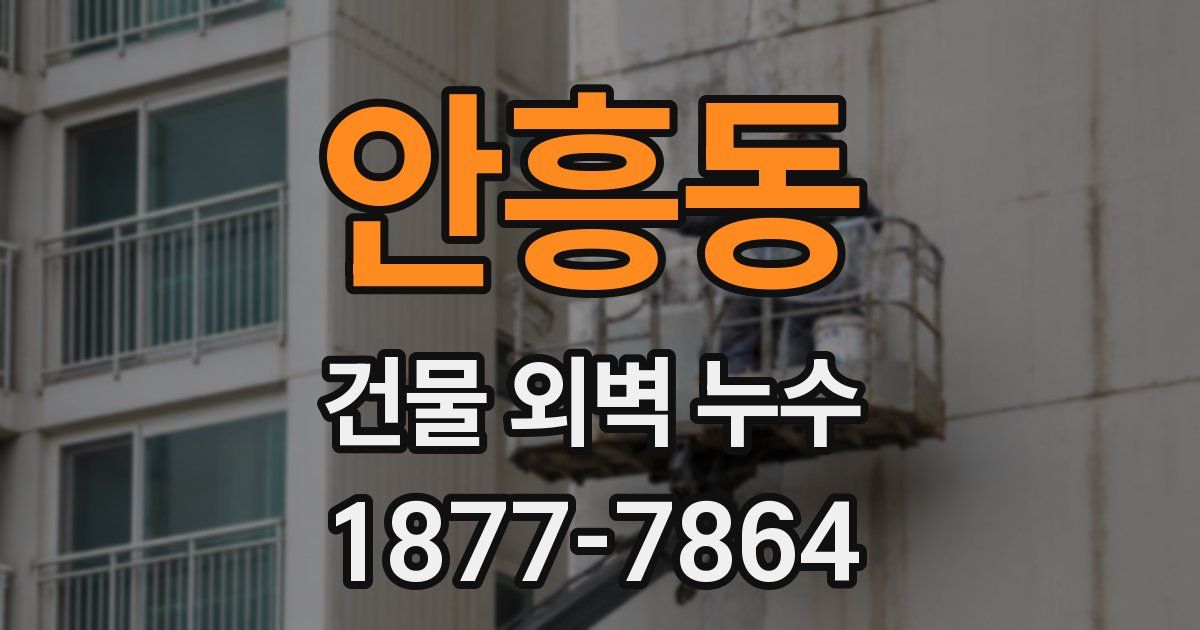 안흥동 건물 외벽 누수