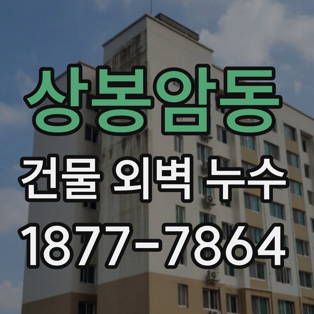 상봉암동 건물 외벽 누수