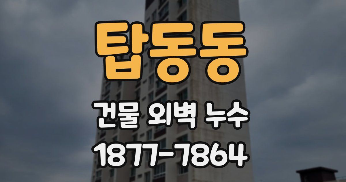 탑동동 건물 외벽 누수