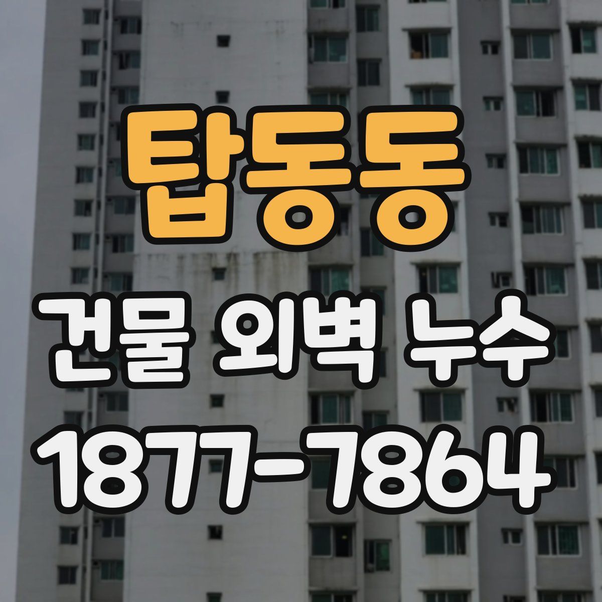 탑동동 건물 외벽 누수
