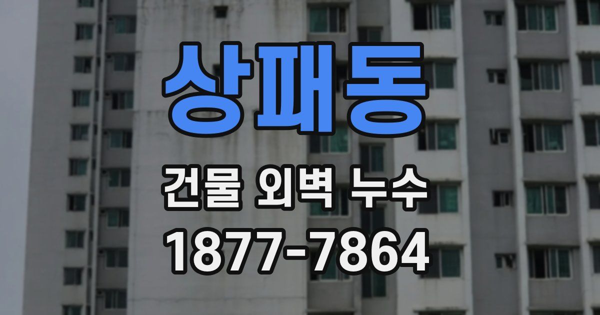 상패동 건물 외벽 누수