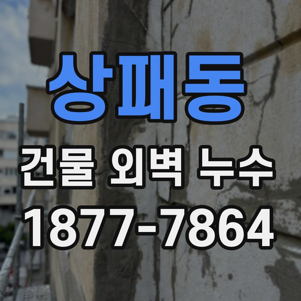 상패동 건물 외벽 누수