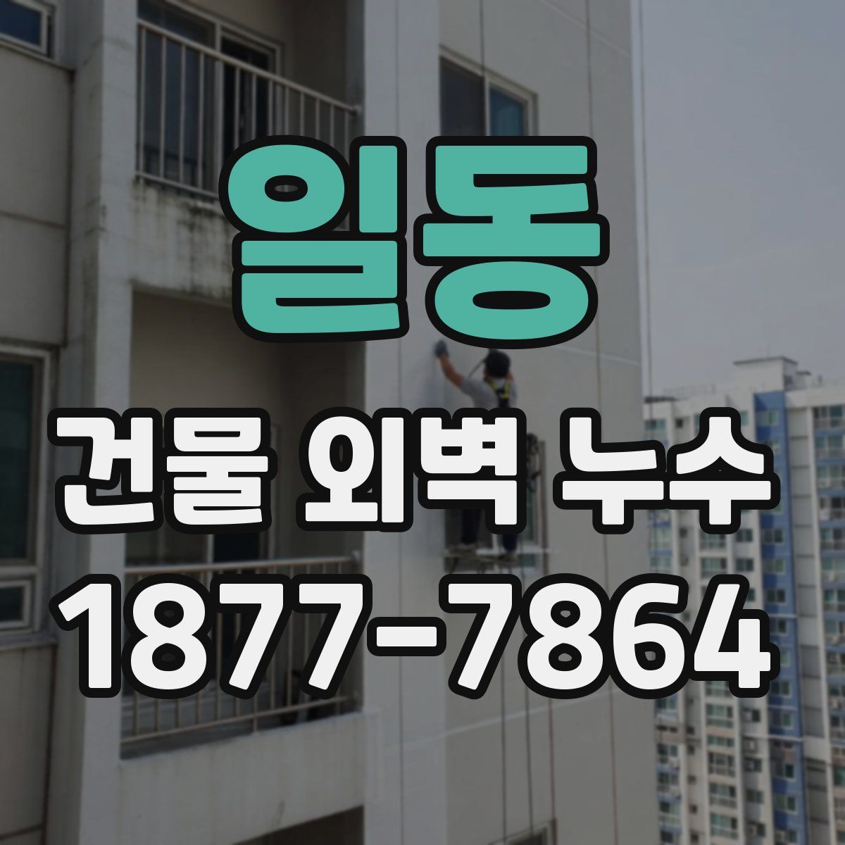 일동 건물 외벽 누수