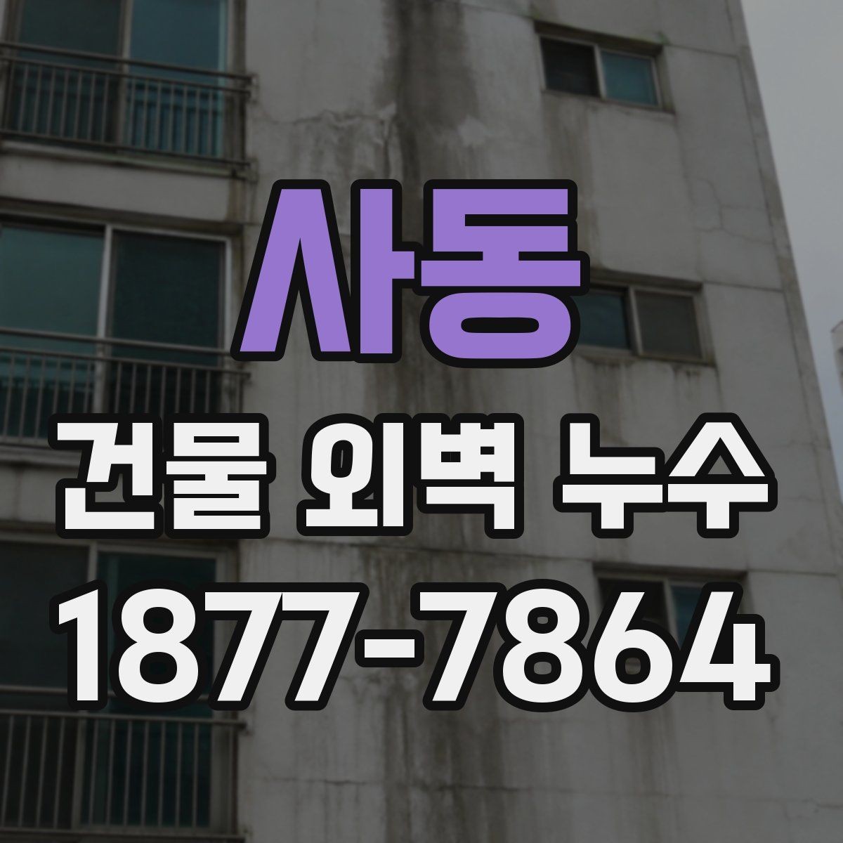 사동 건물 외벽 누수 사례에서 배울 점
