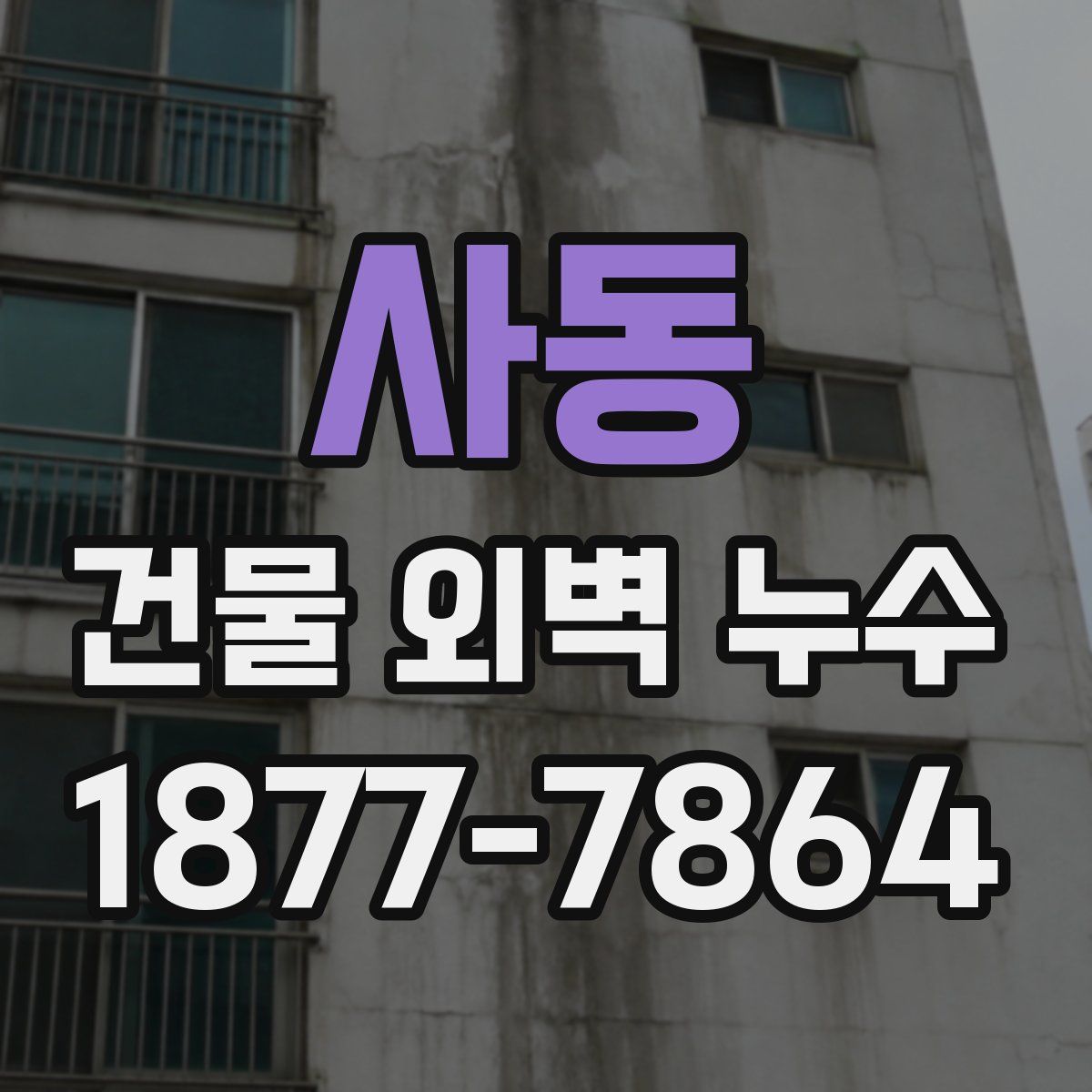 사동 건물 외벽 누수