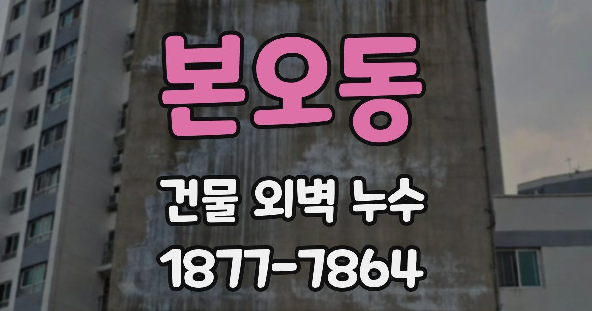 본오동 건물 외벽 누수