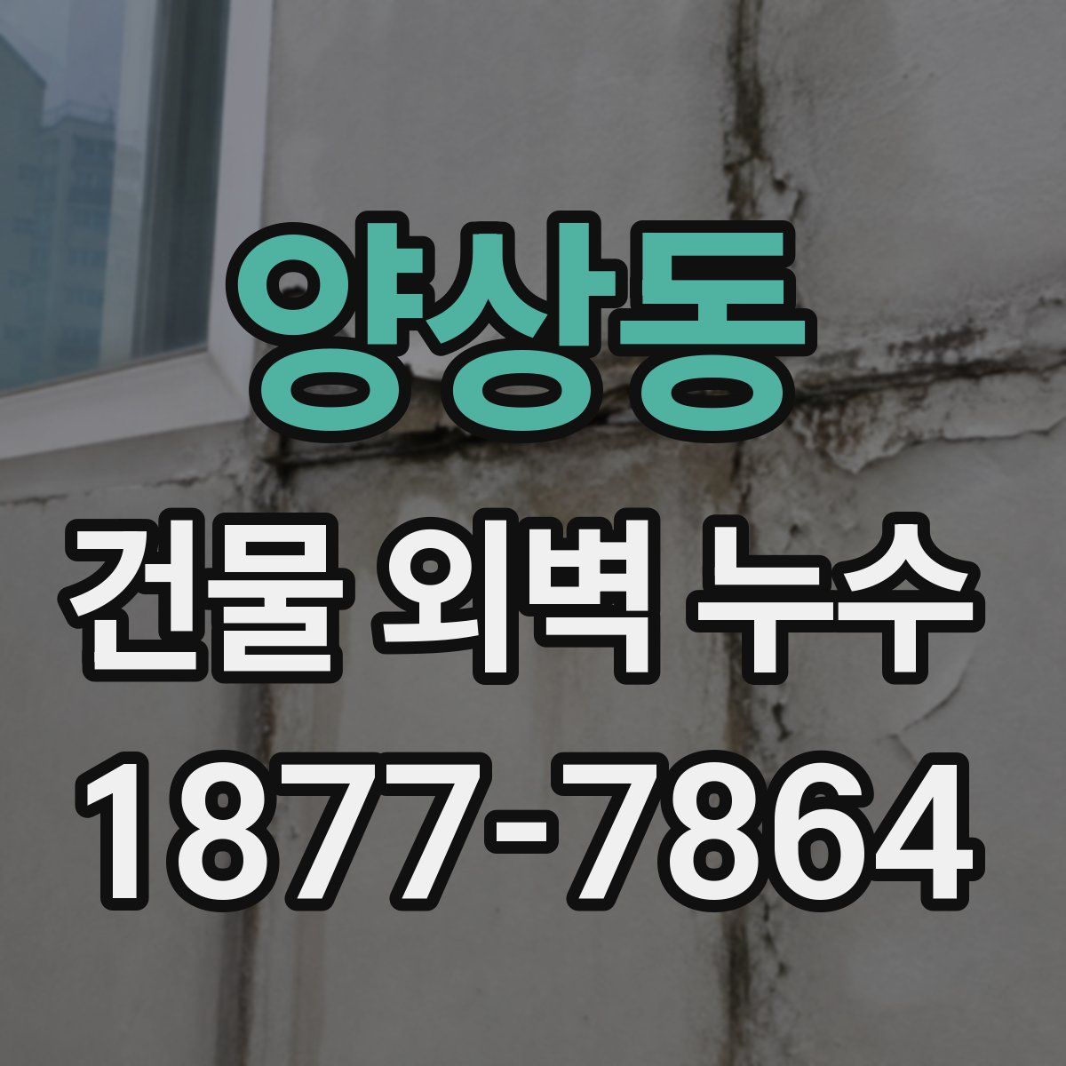 양상동 건물 외벽 누수
