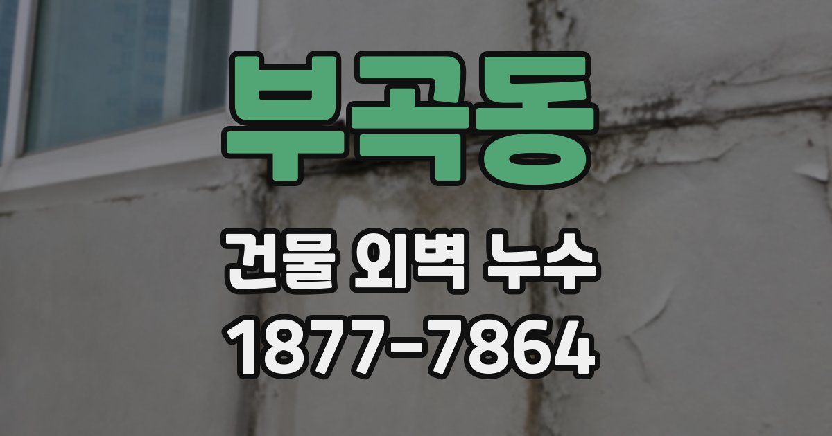 부곡동 건물 외벽 누수