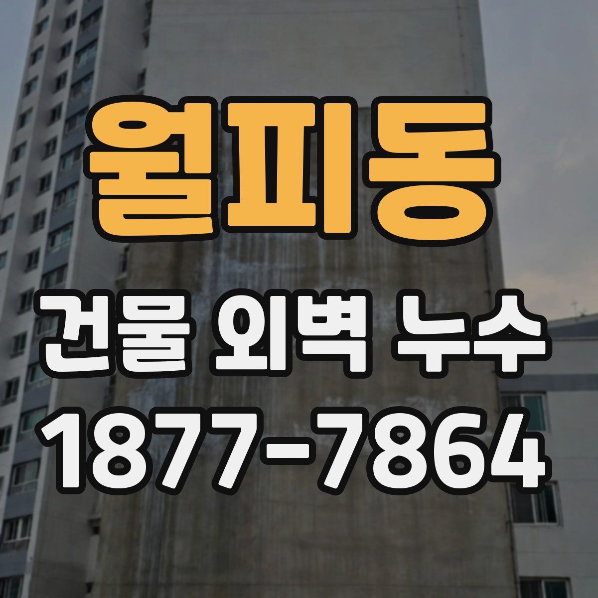 월피동 건물 외벽 누수