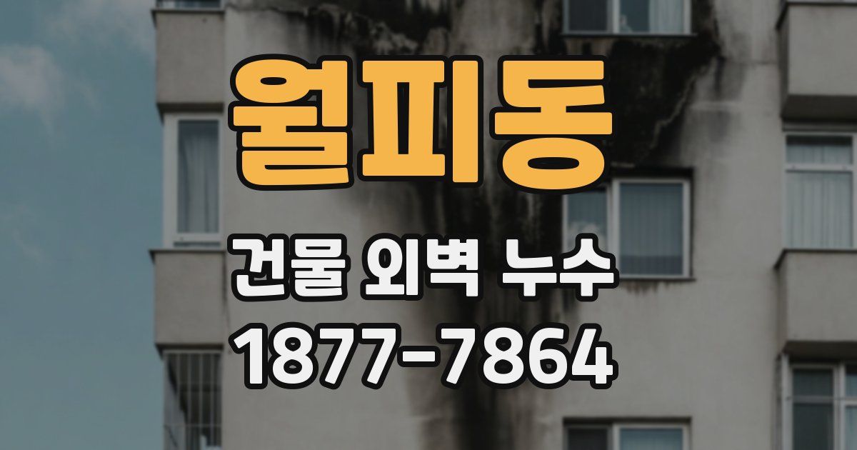 월피동 건물 외벽 누수