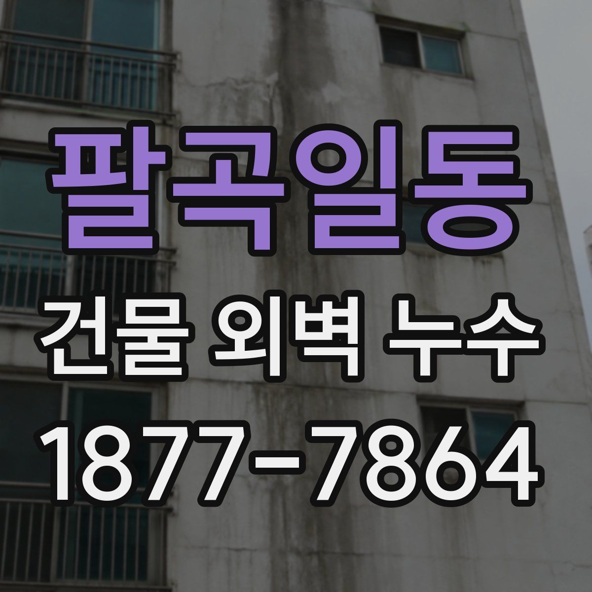 팔곡일동 건물 외벽 누수