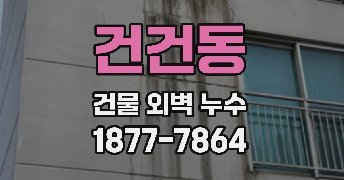 건건동 건물 외벽 누수