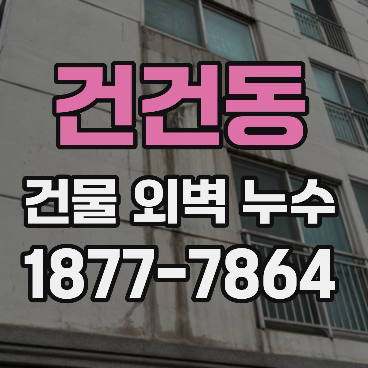 건건동 건물 외벽 누수