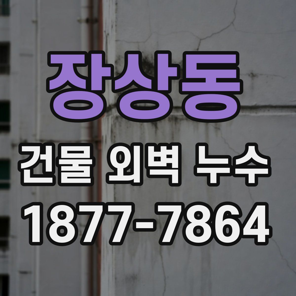 장상동 건물 외벽 누수