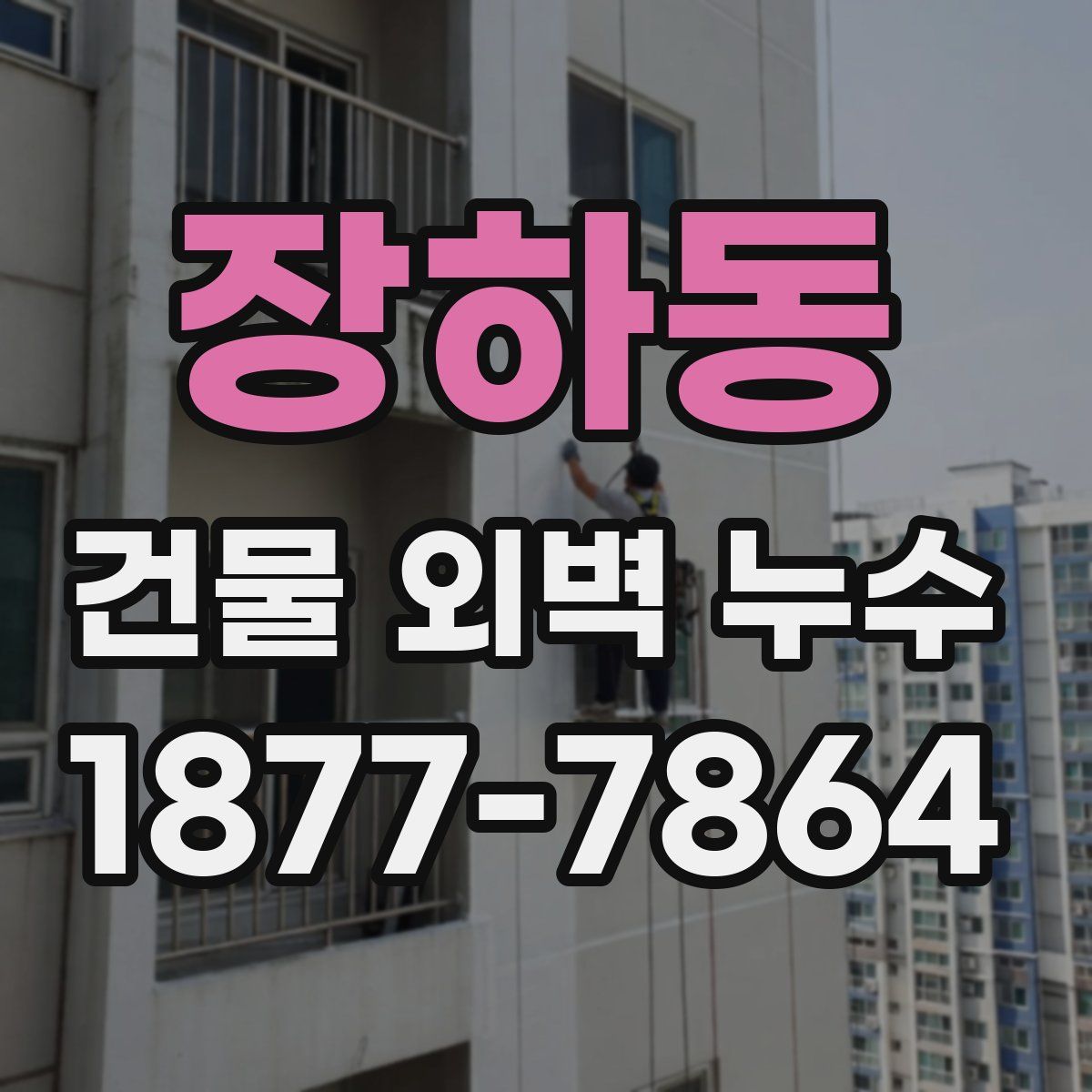장하동 건물 외벽 누수