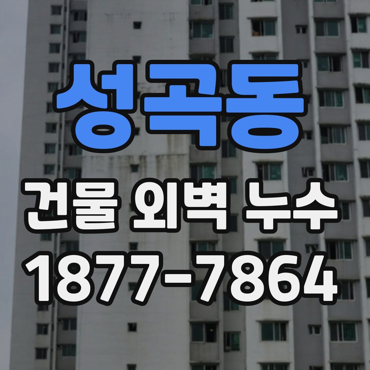 성곡동 건물 외벽 누수