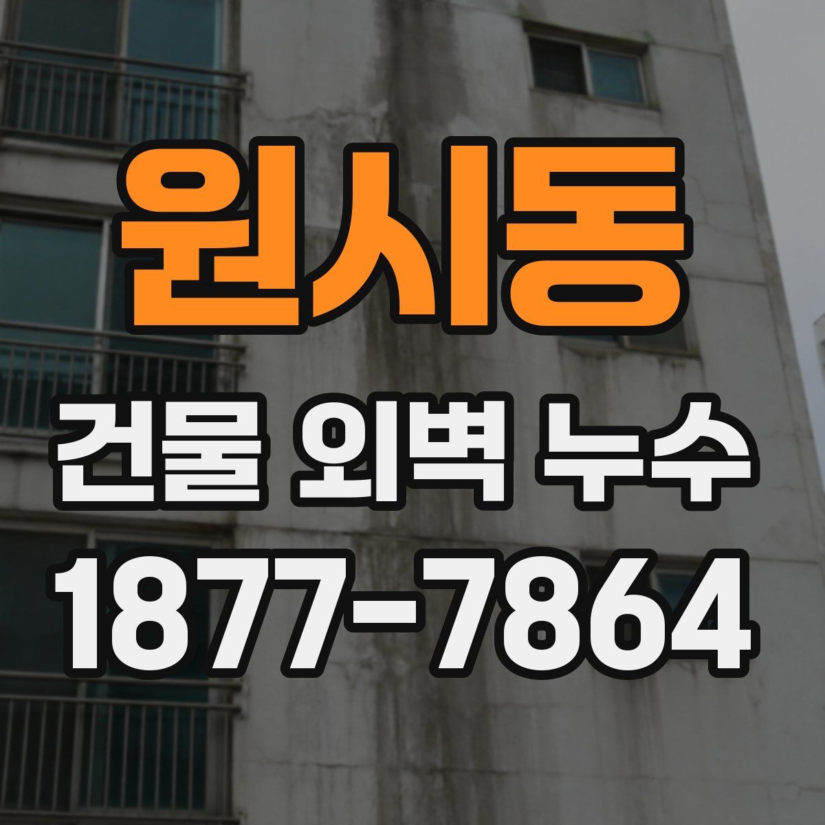 원시동 건물 외벽 누수