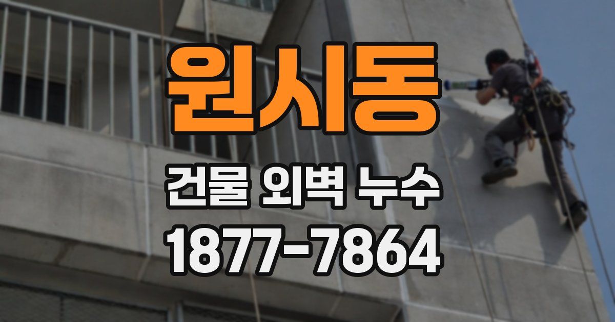 원시동 건물 외벽 누수