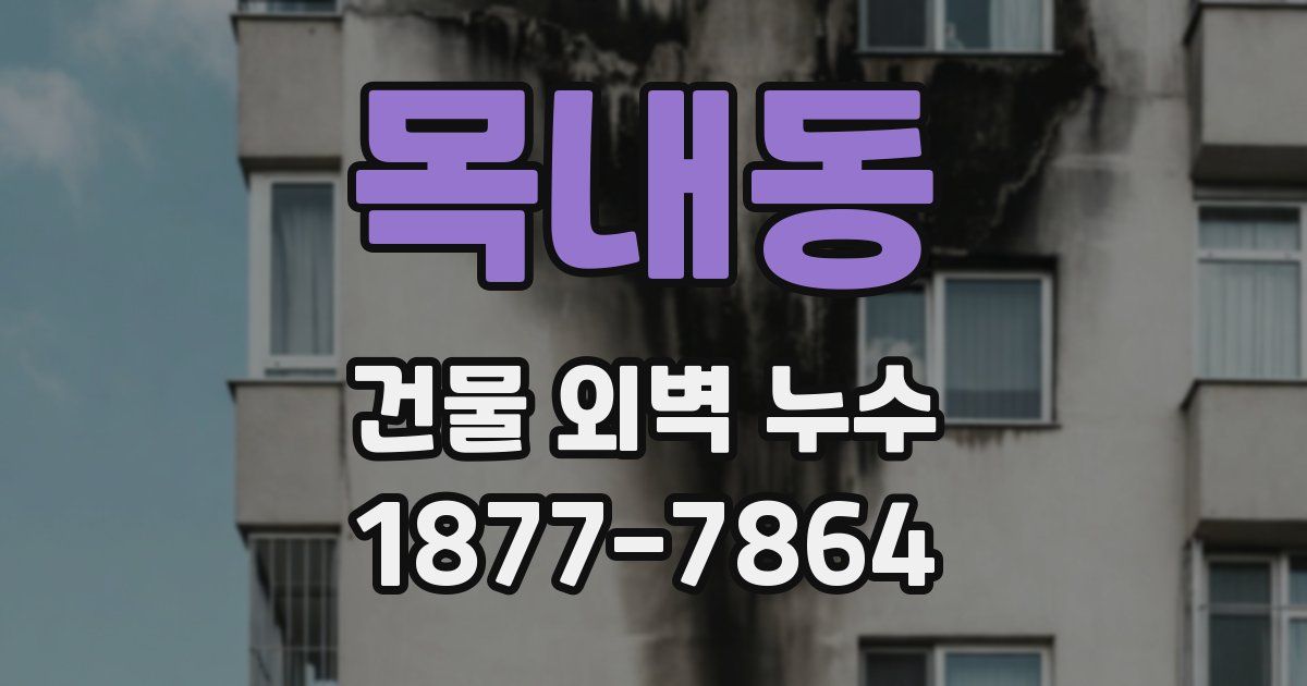 목내동 건물 외벽 누수