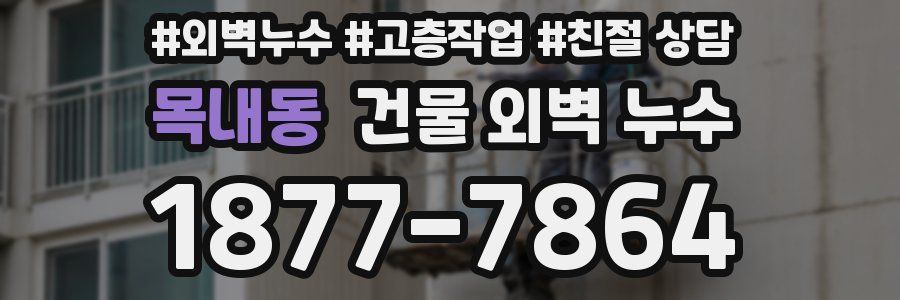 목내동 건물 외벽 누수