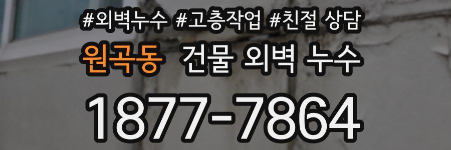 원곡동 건물 외벽 누수