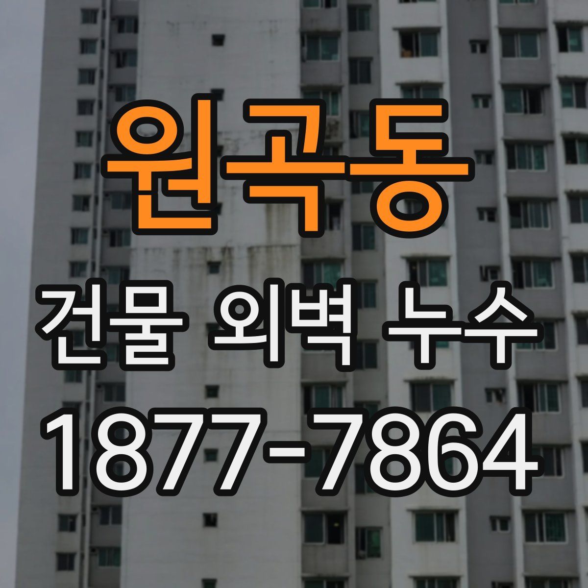 원곡동 건물 외벽 누수