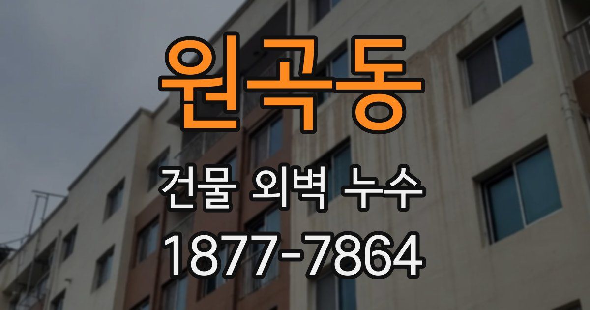 원곡동 건물 외벽 누수