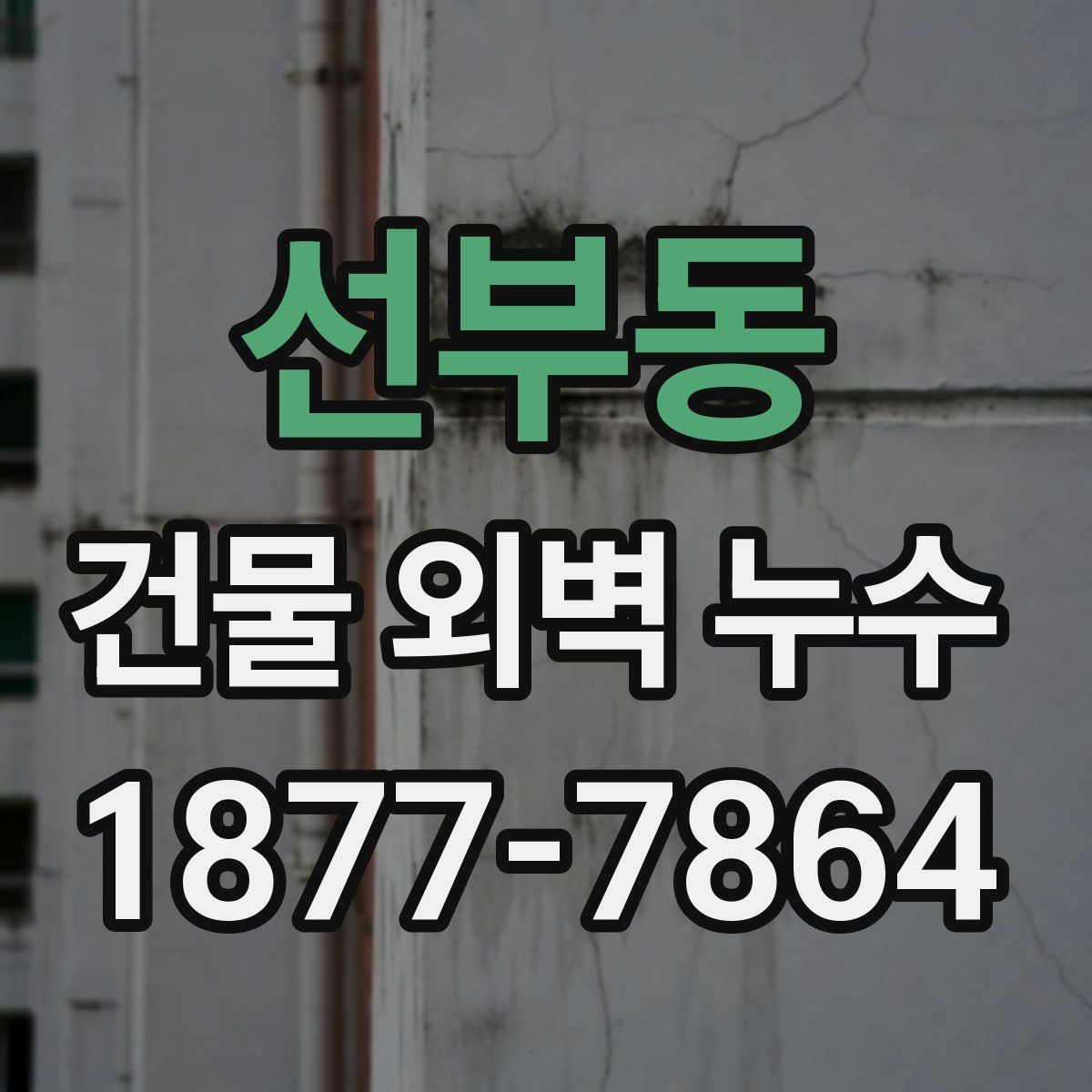 선부동 건물 외벽 누수