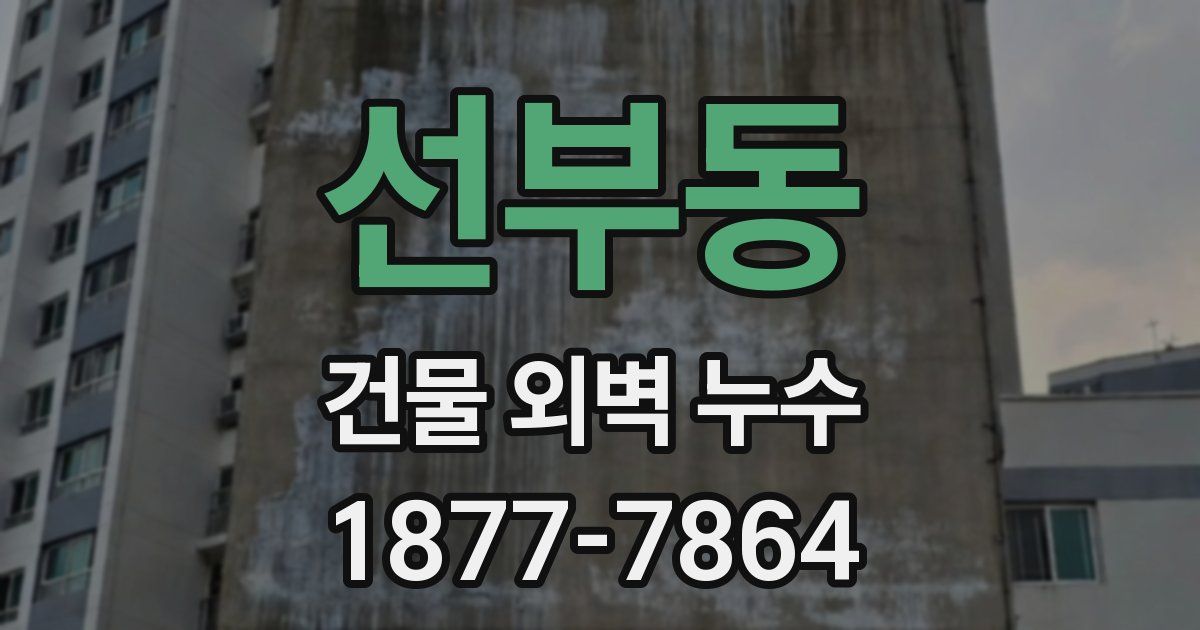 선부동 건물 외벽 누수