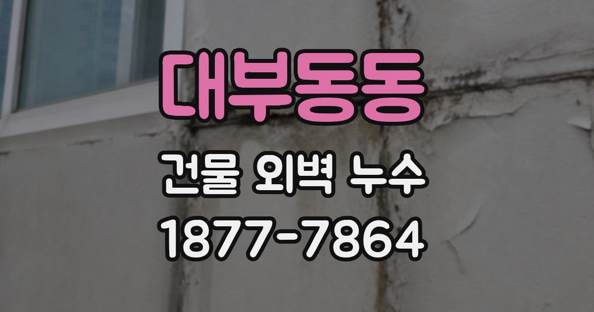 대부동동 건물 외벽 누수