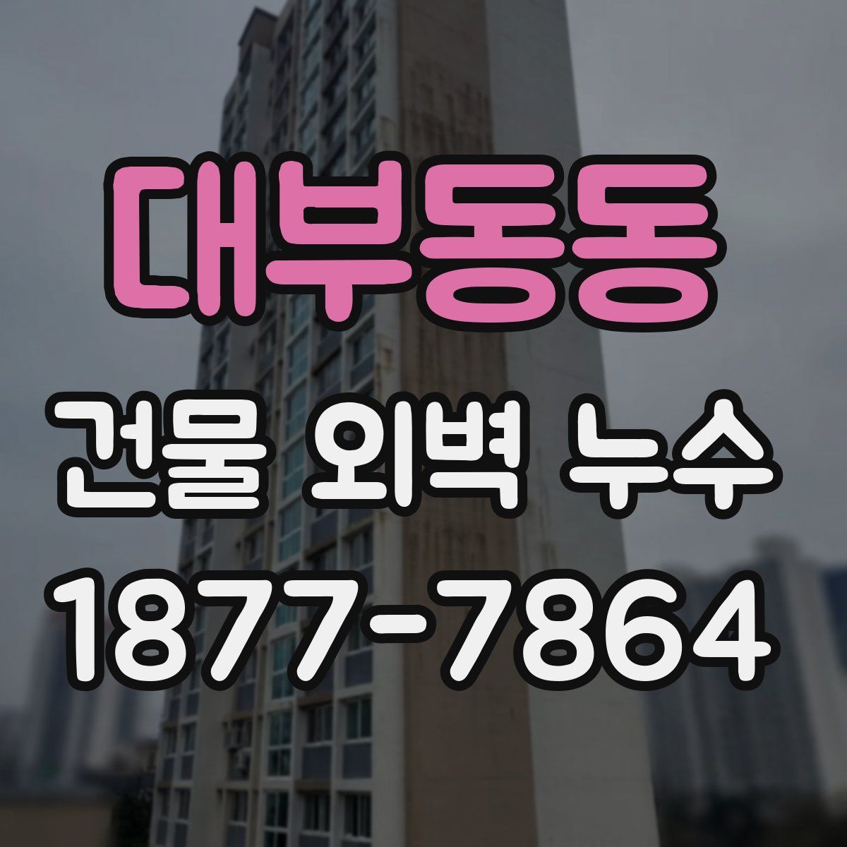 대부동동 건물 외벽 누수