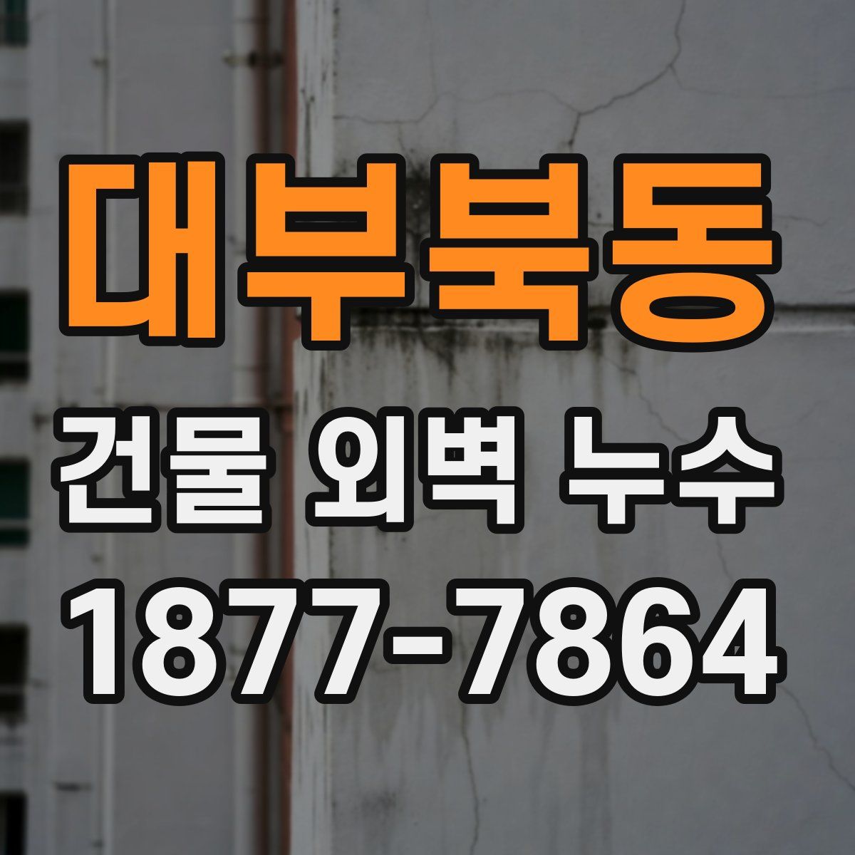 대부북동 건물 외벽 누수