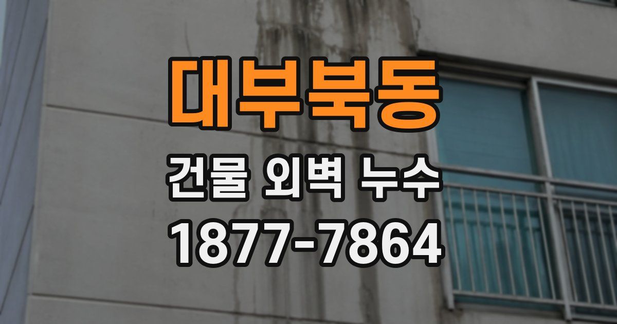 대부북동 건물 외벽 누수