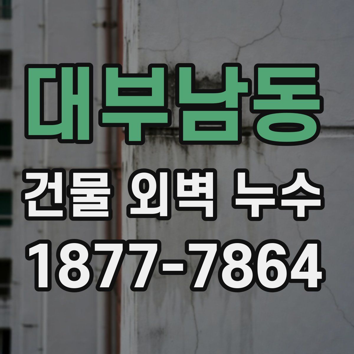 대부남동 건물 외벽 누수