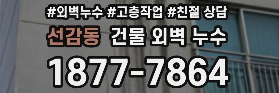 선감동 건물 외벽 누수