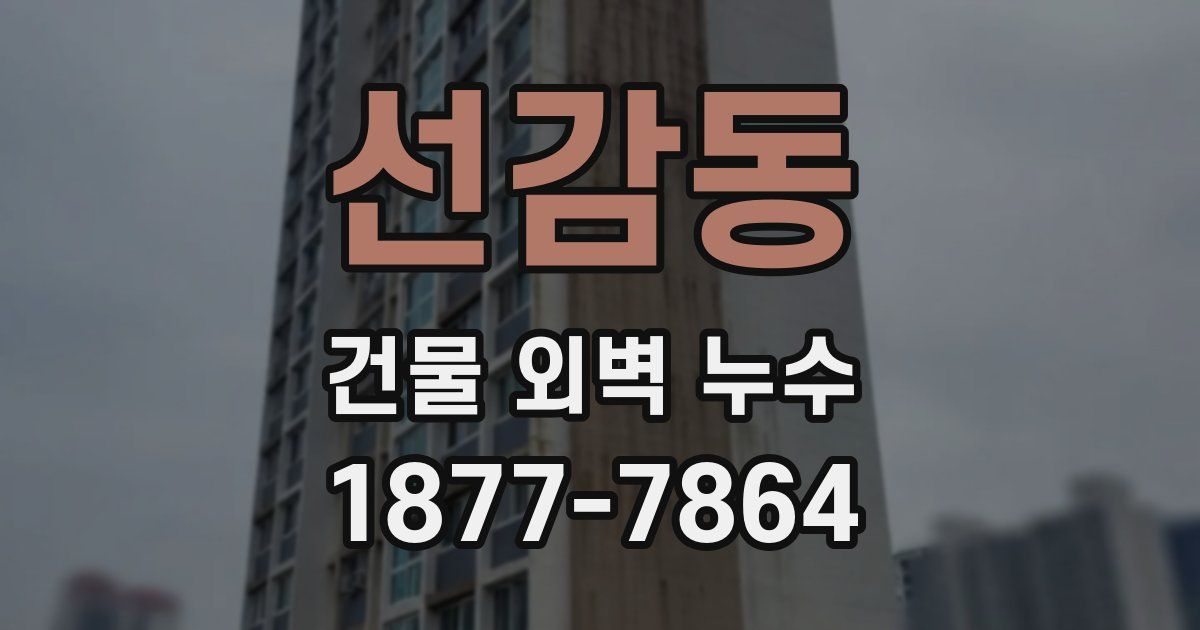 선감동 건물 외벽 누수