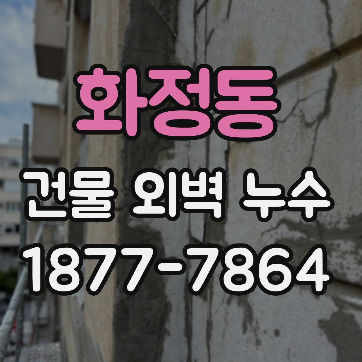 화정동 건물 외벽 누수