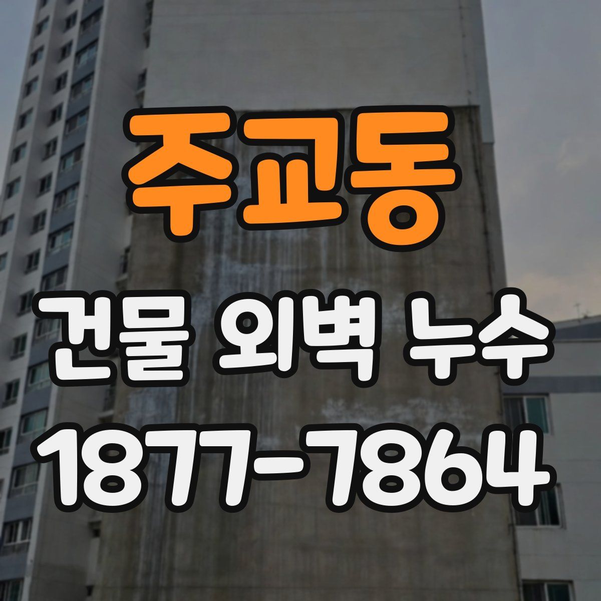 주교동 건물 외벽 누수