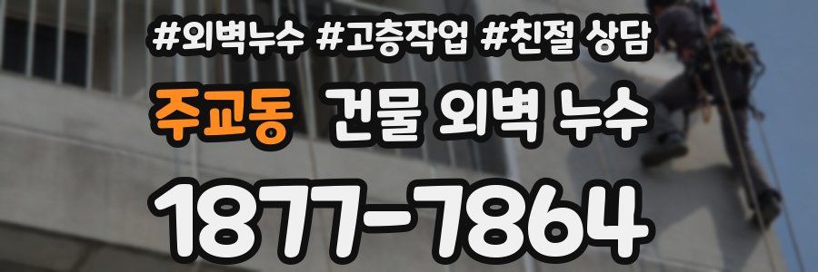 주교동 건물 외벽 누수
