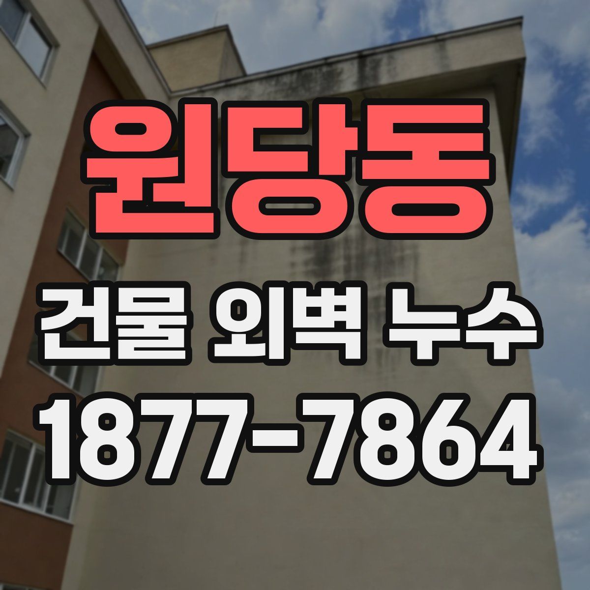원당동 건물 외벽 누수