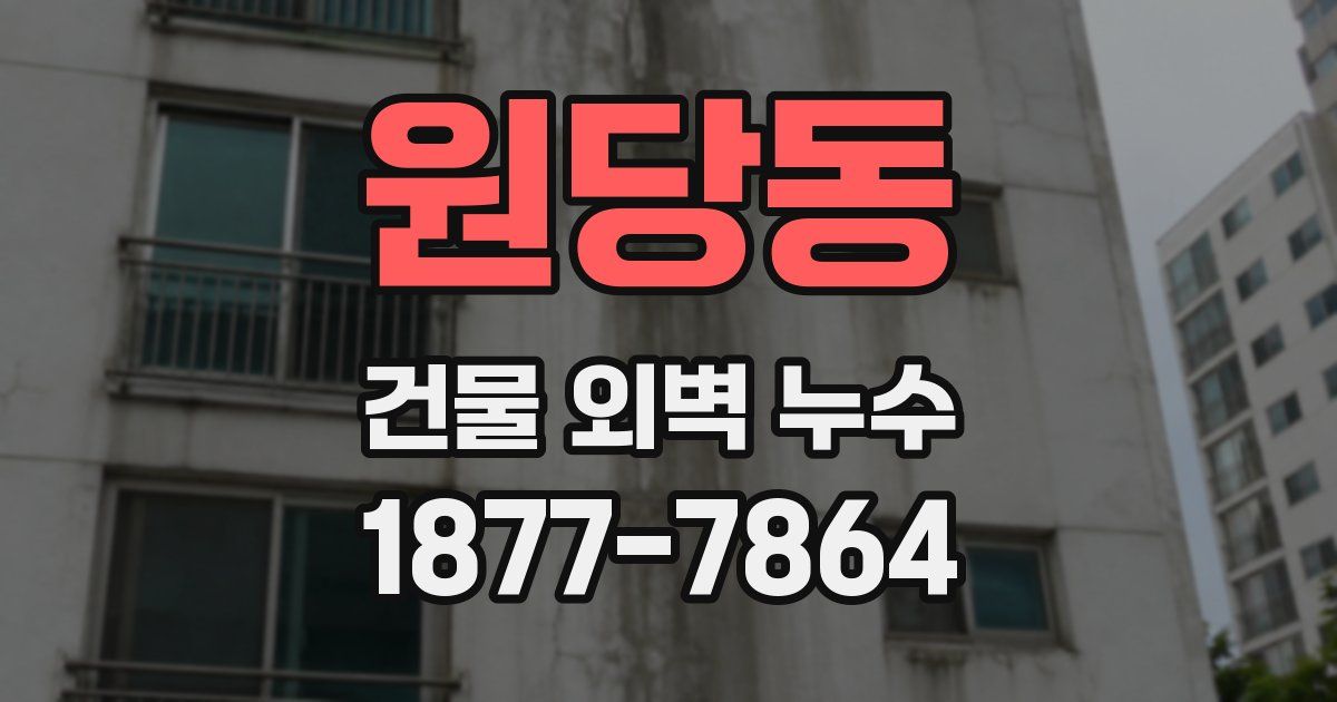 원당동 건물 외벽 누수