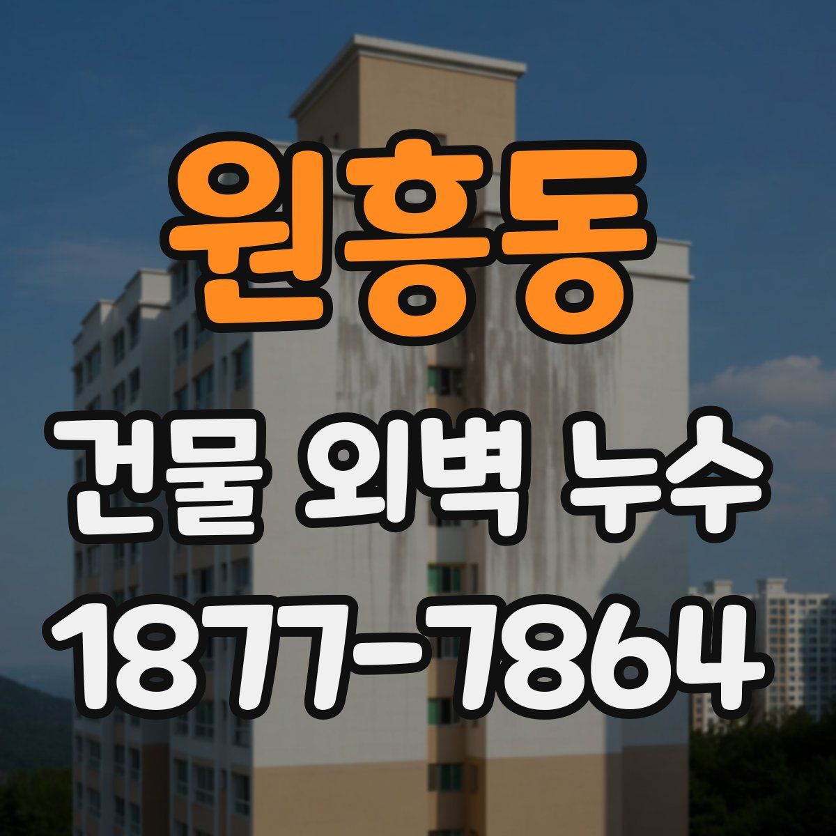 원흥동 건물 외벽 누수