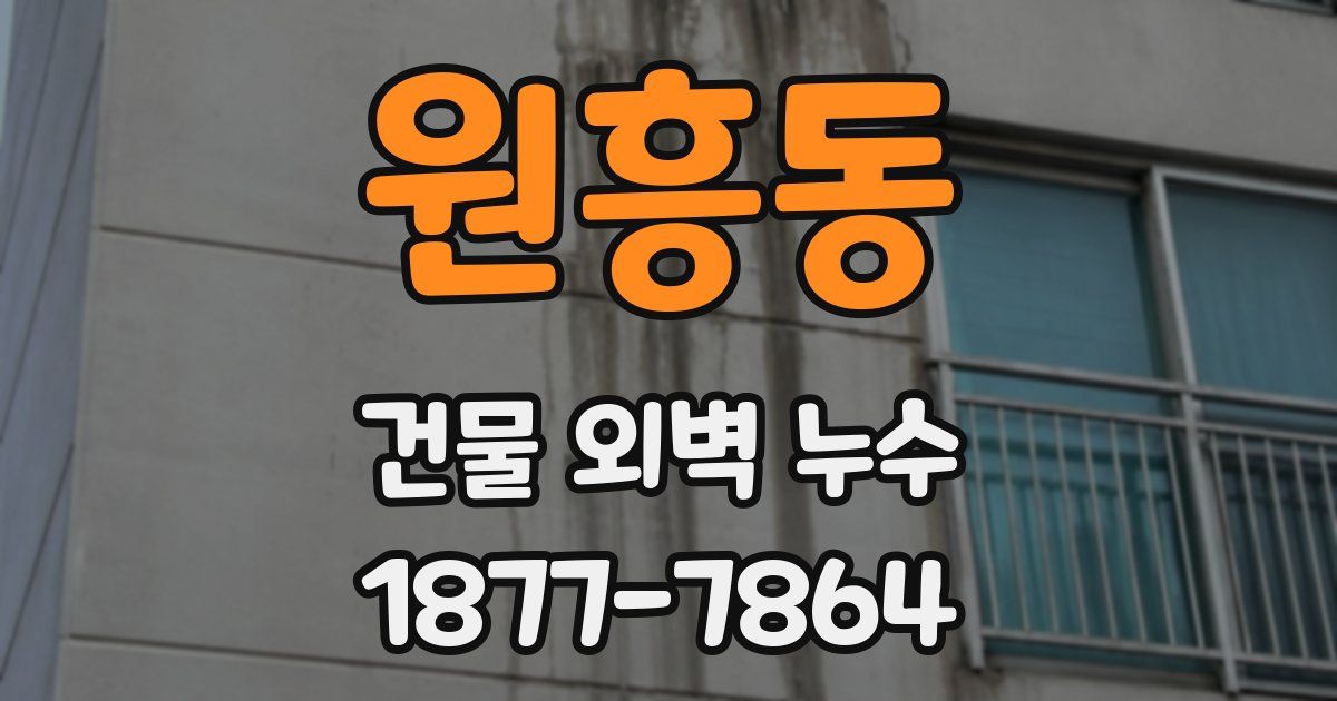원흥동 건물 외벽 누수