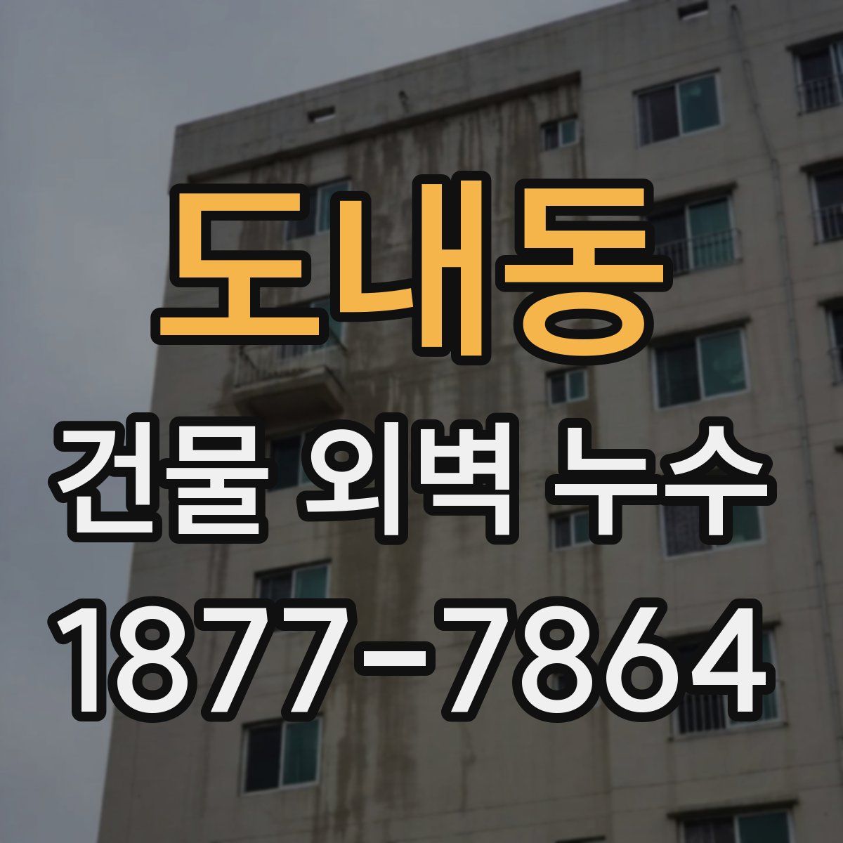 도내동 건물 외벽 누수