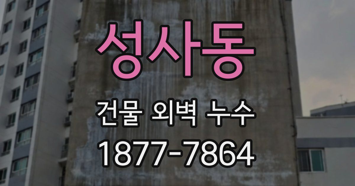 성사동 건물 외벽 누수