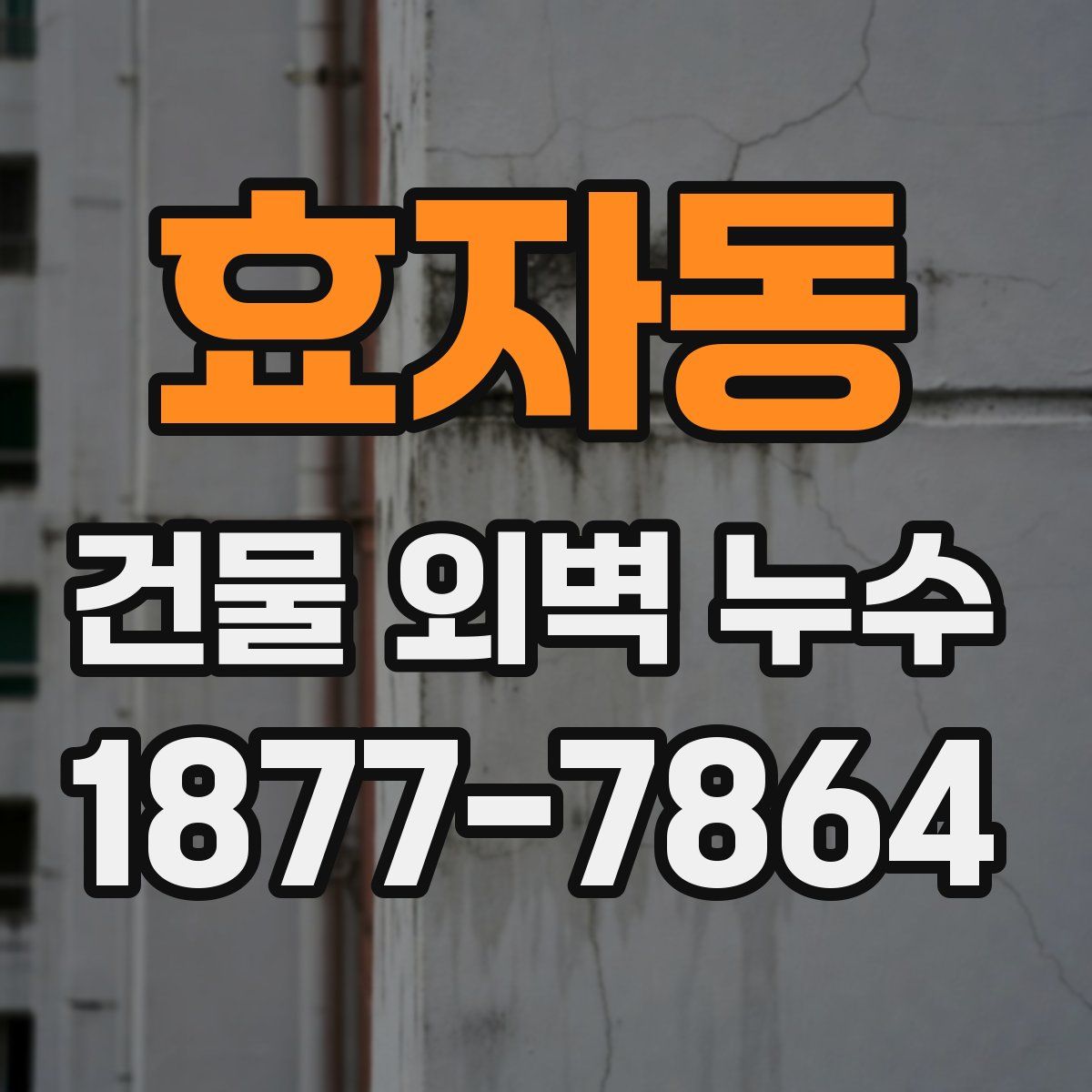 효자동 건물 외벽 누수