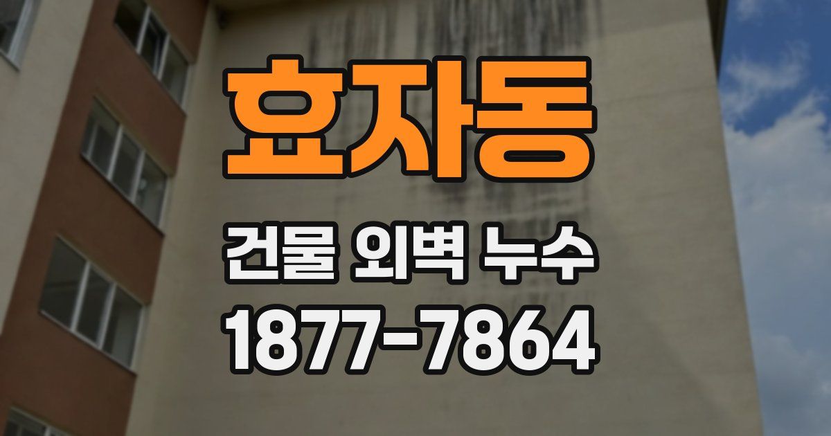 효자동 건물 외벽 누수