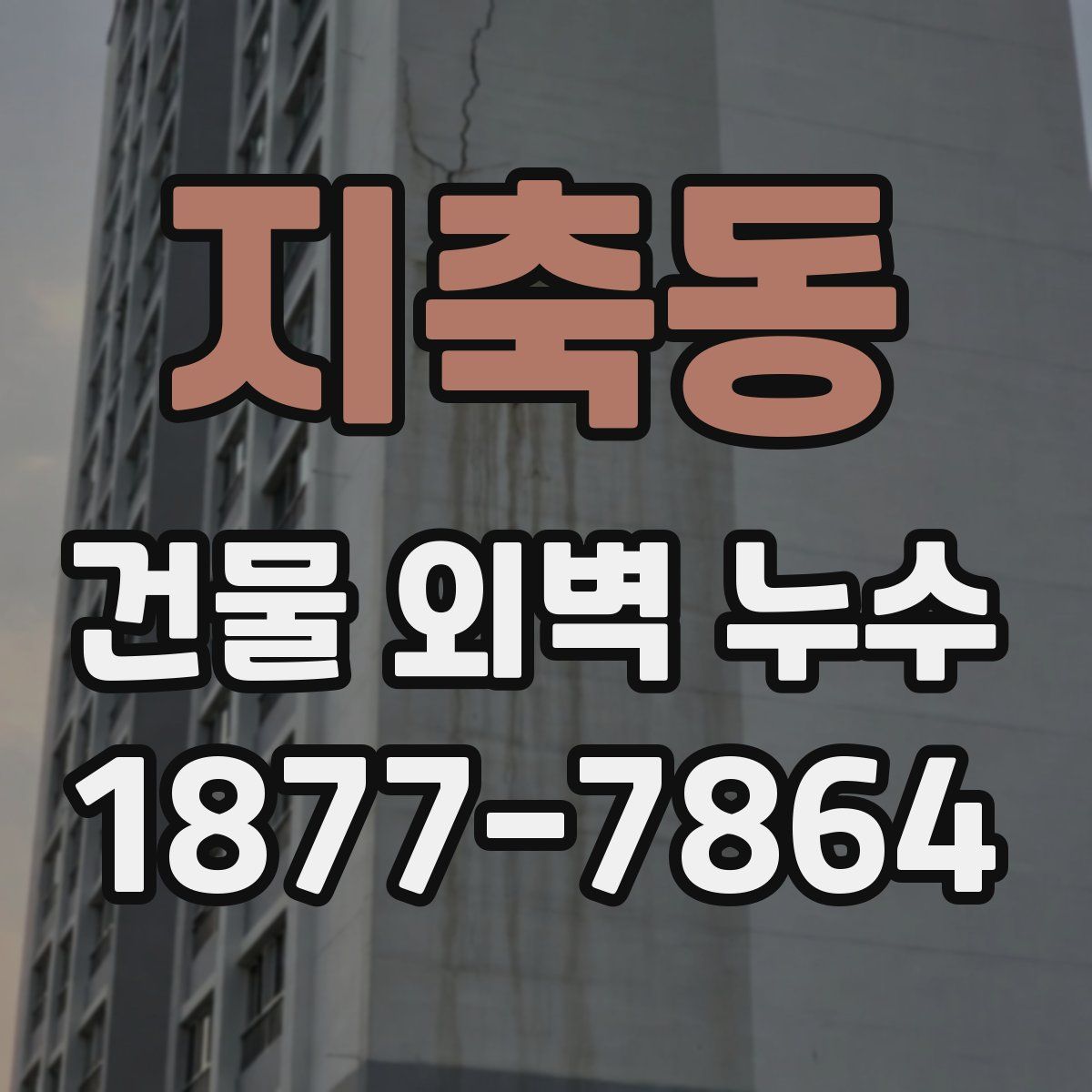 지축동 건물 외벽 누수